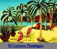 El Cayeres Flamingos